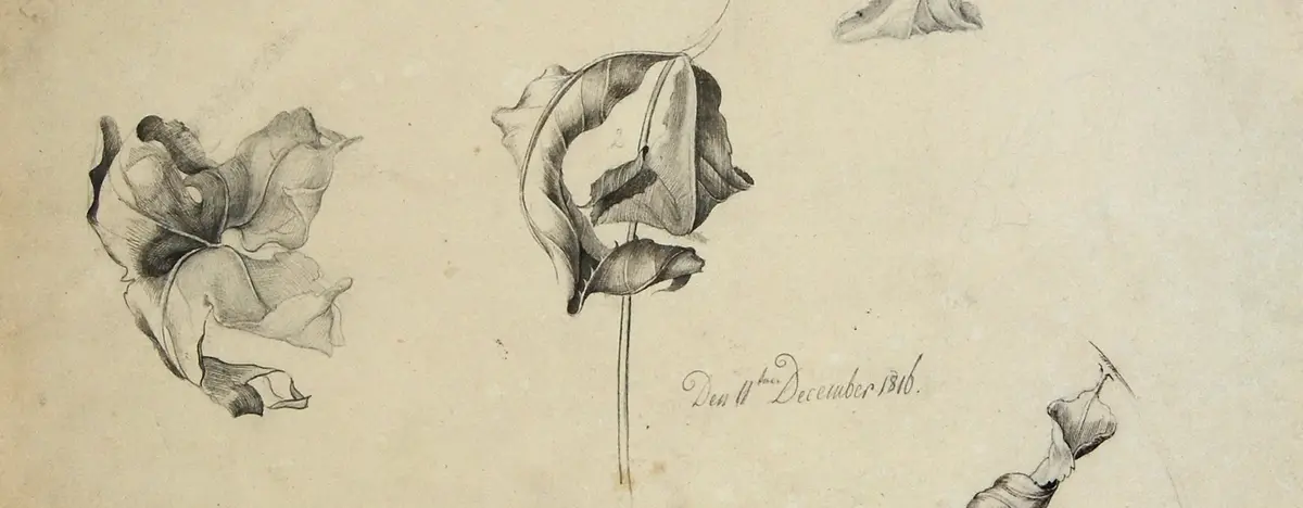 Friedrich Olivier (1791-1859), „Welke Blätter“, 1816
