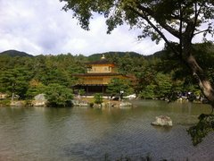 Kinkaku-ji - Der Goldene Pavillon. Buddistischer Tempel nahe der Universität